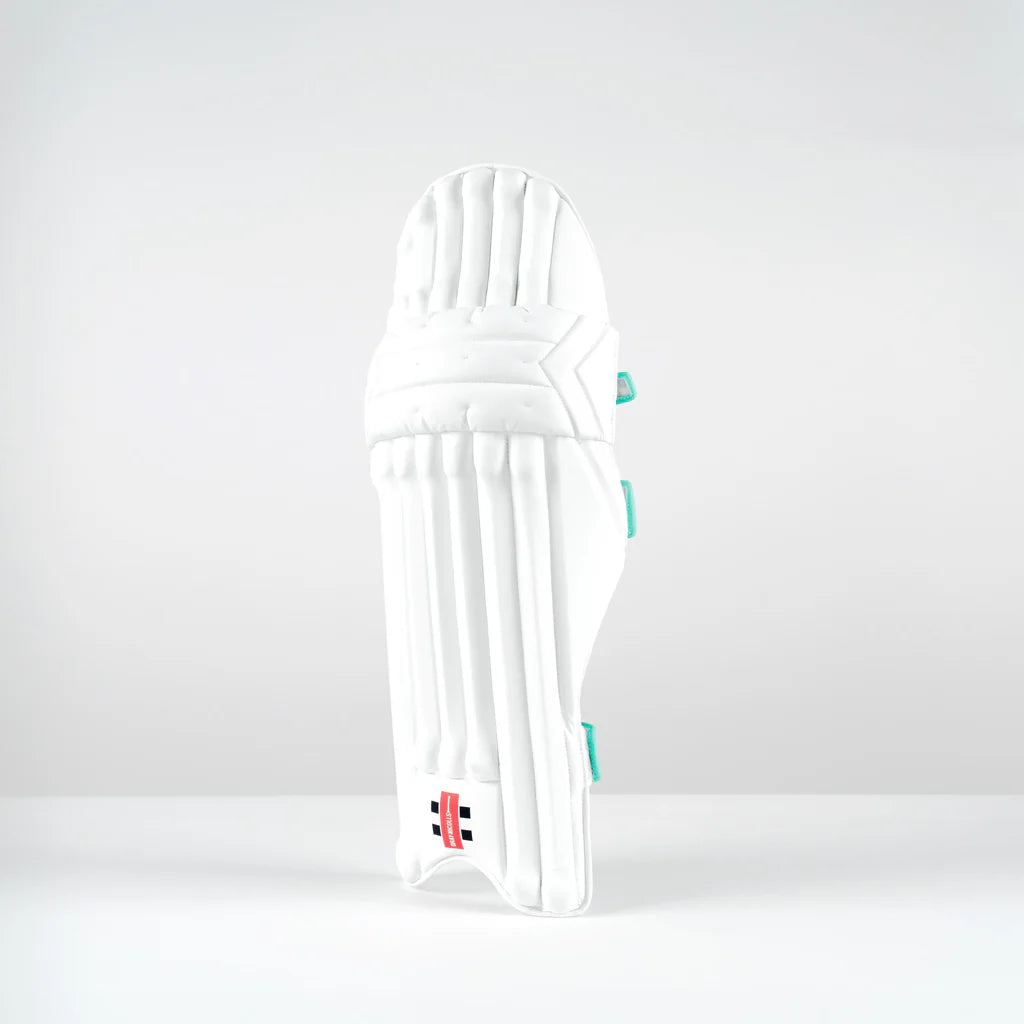 VENTUS 1.0 PRO BATTING PADS